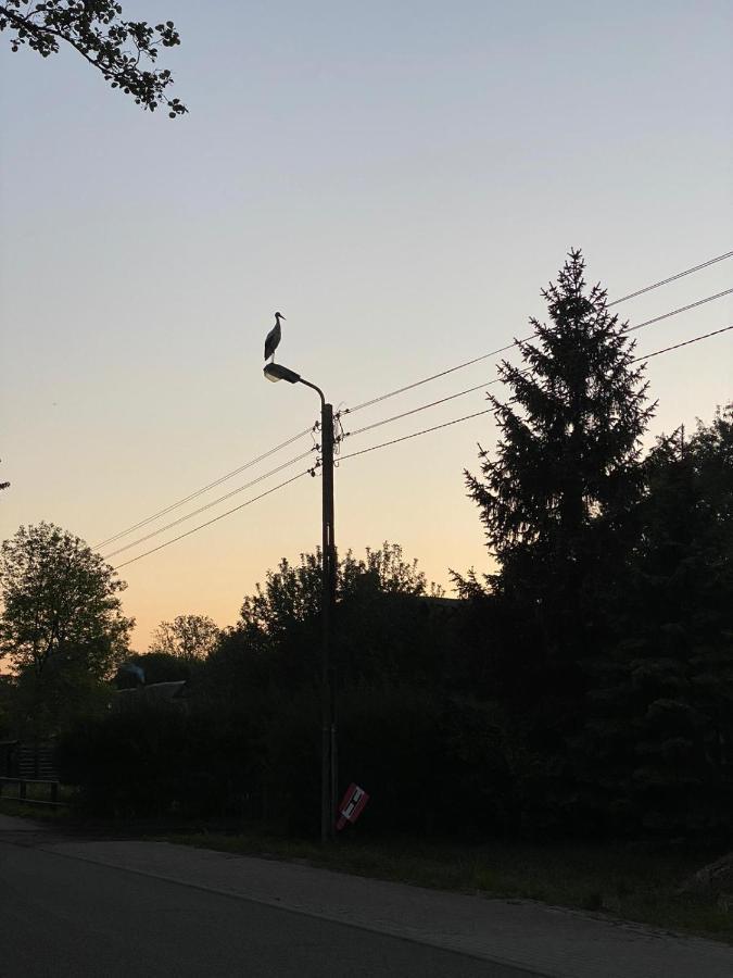 Vila Koja Karwienskie Bloto Drugie Exteriér fotografie